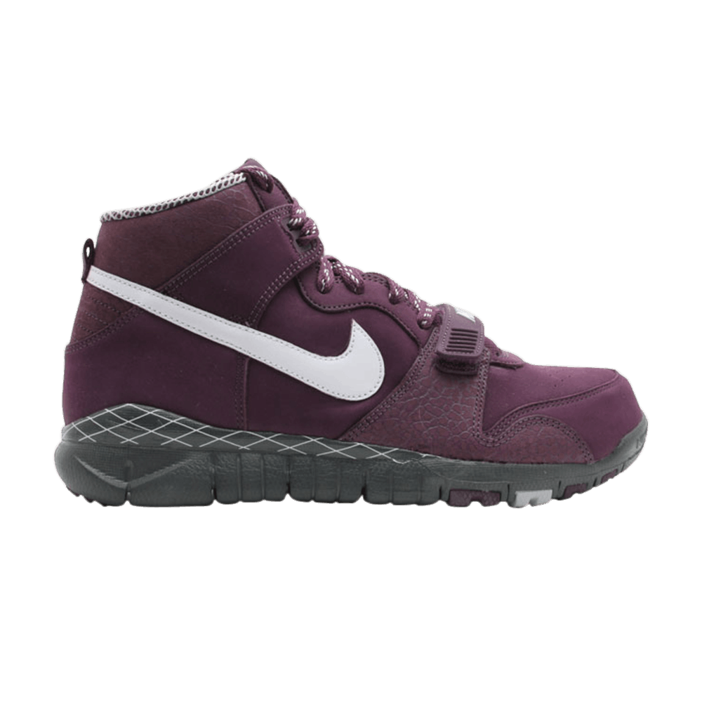 Nike Trainer Dunk High 'Purple' 317390-511