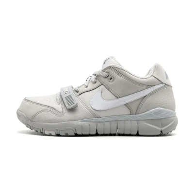 Nike Trainer Dunk Low 'Grey'