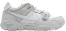 Details for Nike Trainer Dunk Low ''Grau'' 315731-011