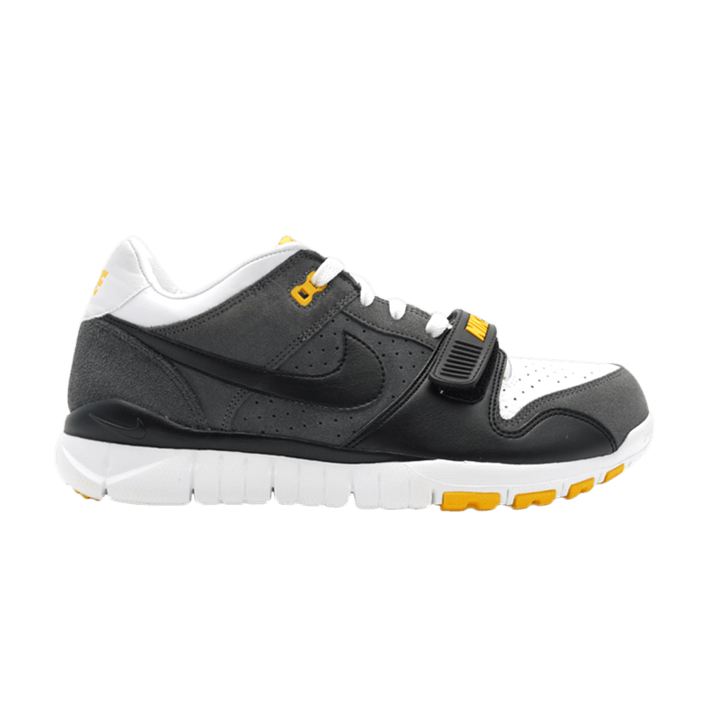 Nike Trainer Dunk Low Usa Laf 'Livestrong' 371553-101