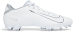 Buy Nike Vapor Edge Team 'Putih Kelabu Serigala' CZ2606-100