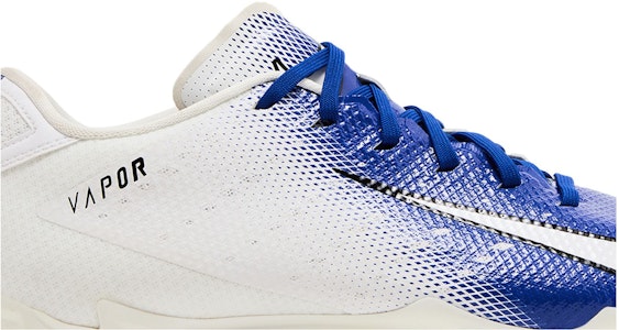 Nike Vapor Untouchable Speed 3 Pro 'Old Royal' Sepatu Olahraga Pria AO3034-103 Order Nike Vapor Untouchable Speed 3 Pro 'Old Royal' Sepatu Olahraga Pria AO3034-103