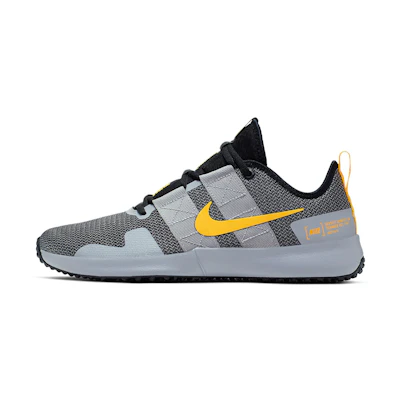 Nike Varsity Compete TR 2 'Atmosphere Grey'