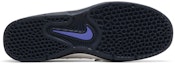 Shop Nike Vertebrae SB 'Putih Summit Unu Persia' FD4691-101