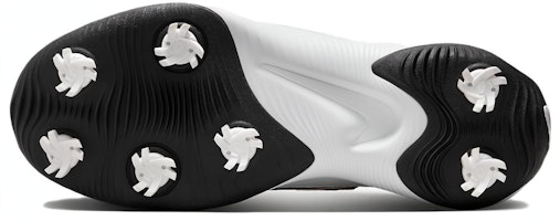 耐吉 勝利 職業 3 寬 '白黑' DX9028-110 Details for 耐吉 勝利 職業 3 寬 '白黑' DX9028-110