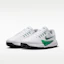 Purchase Nike Victory Pro 4 Zapatos de Golf Blanco/Negro/Malaquita HM9220-105