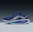 Buy Nike Vomero 18 HM6803-401
