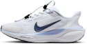Buy (Women) NIKE PEGASUS EASYON Running Shoes FQ7844125