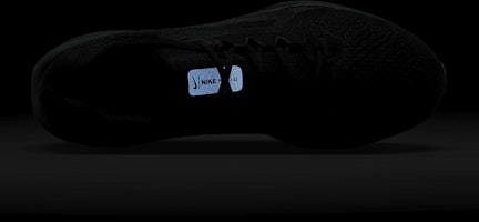 ナイキ ウィンフロー 11 'ブラック アンスラサイト' FJ9509-002 1