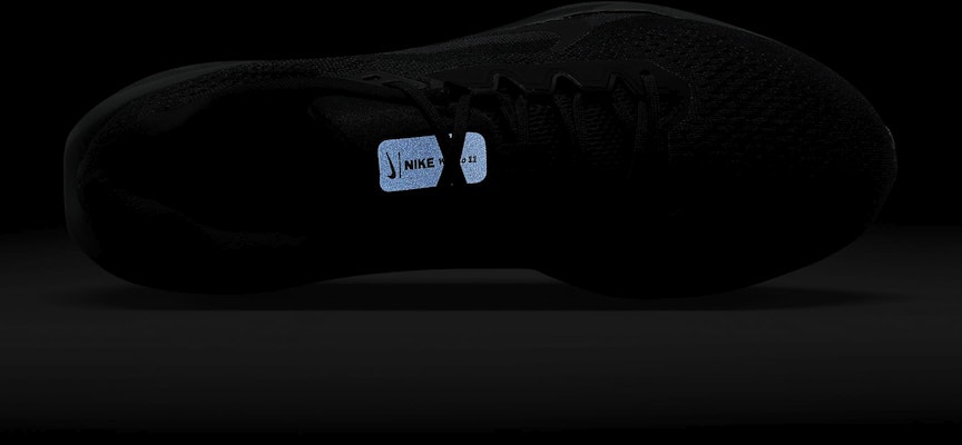 Nike Winflo 11 'Black Anthracite' FJ9509-002 1