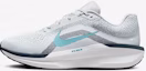 Buy Nike Winflo 11 'Pure Platinum Armory' Lelaki Wanita Kasut Sukan FJ9509-004
