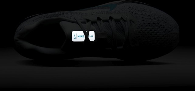 Nike Winflo 11 'Pure Platinum Armory' Lelaki Wanita Kasut Sukan FJ9509-004 1