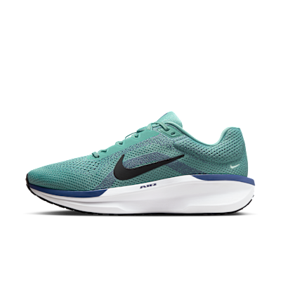 Nike Winflo 11 Canon/Sanded Purple/White/Black FJ9509-010