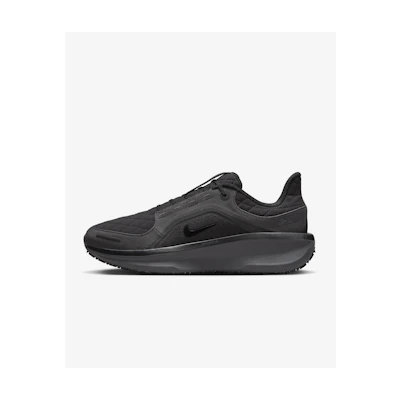 Nike Winflo 11 GORE-TEX