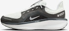 Buy Nike Winflo 11 GORE-TEX Lelaki Perempuan Running Kasut FQ1358-004