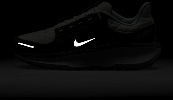 Nike Winflo 11 GORE-TEX FQ1358-004 2
