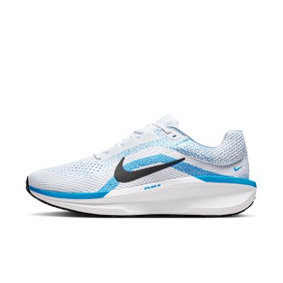 Nike Winflo 11 White/Blue Hero/Black FJ9509-110