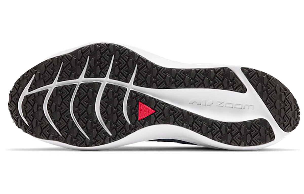 Nike Winflo 7 Shield 'Obisidian Mist' CU3870-403