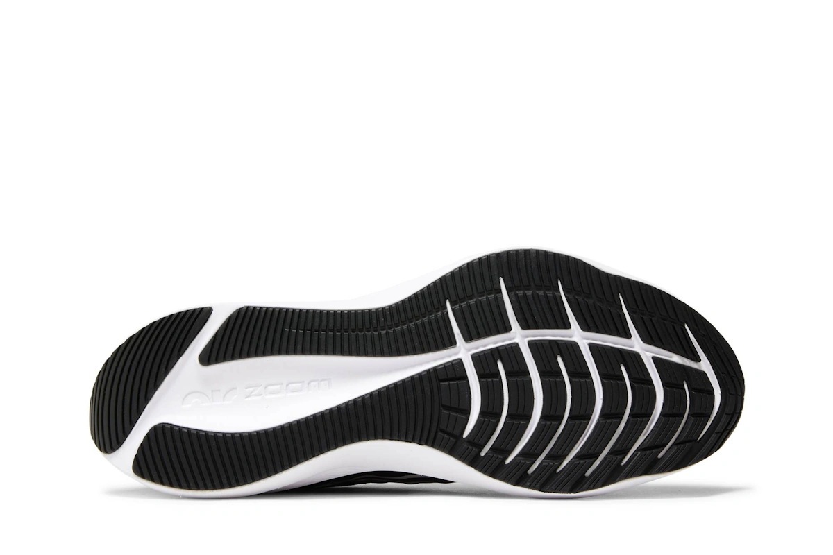 Nike Winflo 8 'Black White' CW3419-006