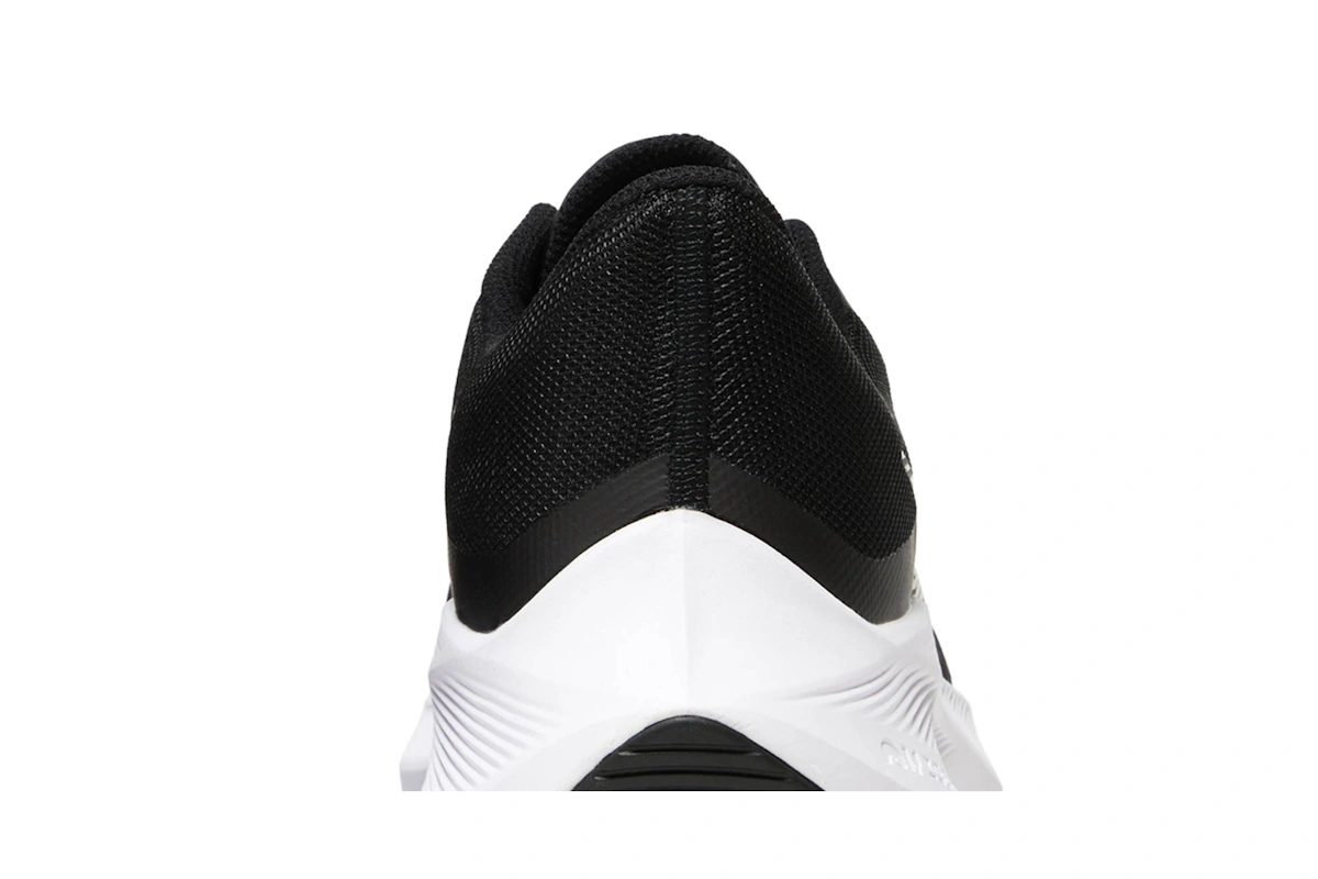 Nike Winflo 8 'Black White' CW3419-006