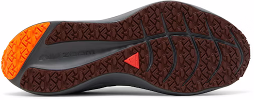 Nike Winflo 8 Shield 'Bronce Eclipse Redstone' DC3727-200 Shop Nike Winflo 8 Shield 'Bronce Eclipse Redstone' DC3727-200