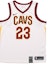 Buy Nike x NBA Cavaliers LeBron James 23 Fan Jersey White Men's Limited Edition 864409-100