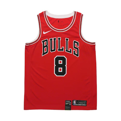 Nike NBA Chicago Bulls Zach LaVine #8 Fan Edition Basketball Jersey Red Men's 864465-666