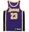 Buy Nike x NBA Lakers LeBron James #23 Purple Fan Edition Crewneck Tank Top Limited AA7097-514