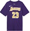 Buy Nike x NBA LeBron James Lakers #23 Retro Dri-FIT T-Shirt Purple Men's BQ1541-557