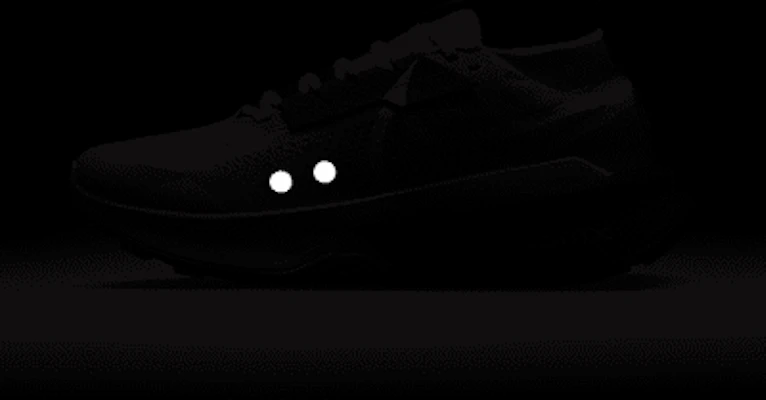 Nike Zegama 2 Trail Running FD5190-007 1