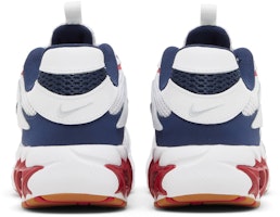 Details for (Women) Nike Zoom Air Fire 'White Mystic Hibiscus Navy' CW3876-107