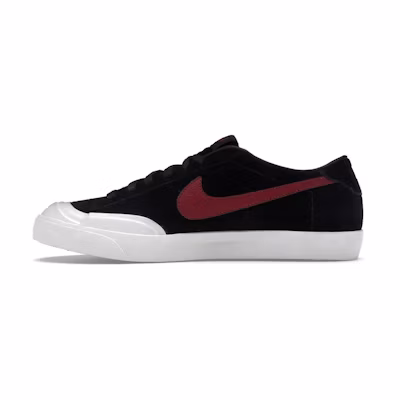 Nike Zoom All Court CK SB