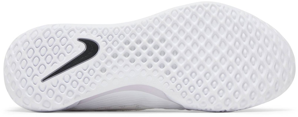 Nike Zoom Court NXT HC 'White Black' DH0219-100 Shop Nike Zoom Court NXT HC 'White Black' DH0219-100