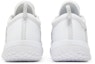 Details for Nike Zoom Court NXT HC 'Putih Hitam' DH0219-100
