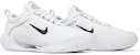 Nike Zoom Court NXT HC 'Putih Hitam' DH0219-100