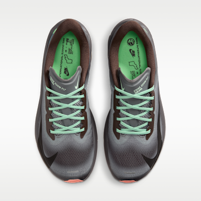 Shop Nike Zoom Fly 6 巴洛克棕/煙灰色/鐵石色/黑色 IW2352-200