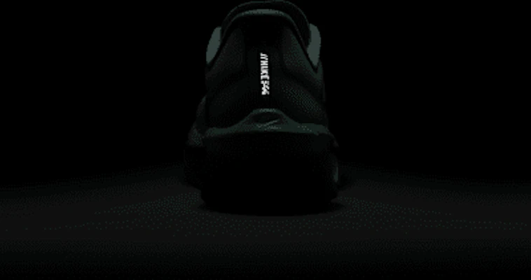 耐克Zoom Fly 6 佳能绿/浅银色/钴蓝/海藻绿 FN8454-003 2