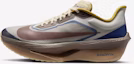 Buy Nike Zoom Fly 6 Premium HV4366-072