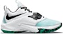 Nike Zoom Freak 3 EP 'N.I.K.E.' DA0695-101
