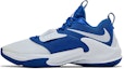 Lookbook Nike Zoom Freak 3 TB 'Game Royal' Azul Juego DM7378-401