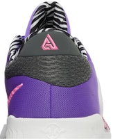 ナイキ ズーム フリーク 4 "アクショングレープ" DO9680-500 Sizing ナイキ ズーム フリーク 4 "アクショングレープ" DO9680-500