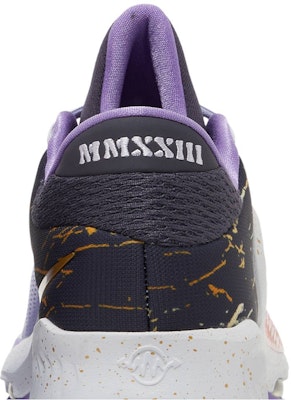 Nike Zoom Freak 4 'All-Star' /DV1180-500 DV1178-500 Sizing Nike Zoom Freak 4 'All-Star' /DV1180-500 DV1178-500