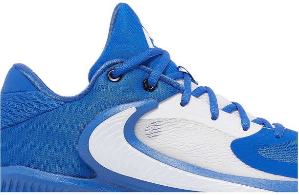 Nike Zoom Freak 4 TB 'Game Royal' Sepatu Basket DO9679-401 Order Nike Zoom Freak 4 TB 'Game Royal' Sepatu Basket DO9679-401