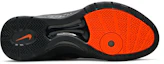 Shop ナイキ ズーム ハイパーダンク 2011 ロー 487638-081