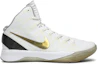 Buy Nike Zoom Hyperdunk Elite 'Home' 511369-100