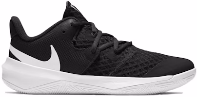 Nike Zoom Hyperspeed Court 'Black White' CI2964-010 Nike Zoom Hyperspeed Court 'Black White' CI2964-010