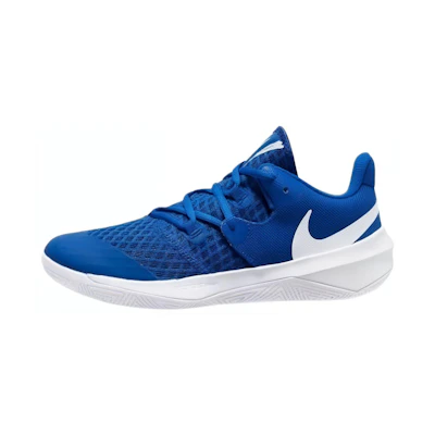 Nike Zoom Hyperspeed Court 'Game Royal'