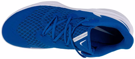 나이키 줌 하이퍼스피드 코트 "게임 로얄" (43 characters) CI2964-410 Shop 나이키 줌 하이퍼스피드 코트 "게임 로얄" (43 characters) CI2964-410