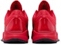 Details for Nike Zoom Kobe 5 Protro 'Tahun Mamba' HF5182-600