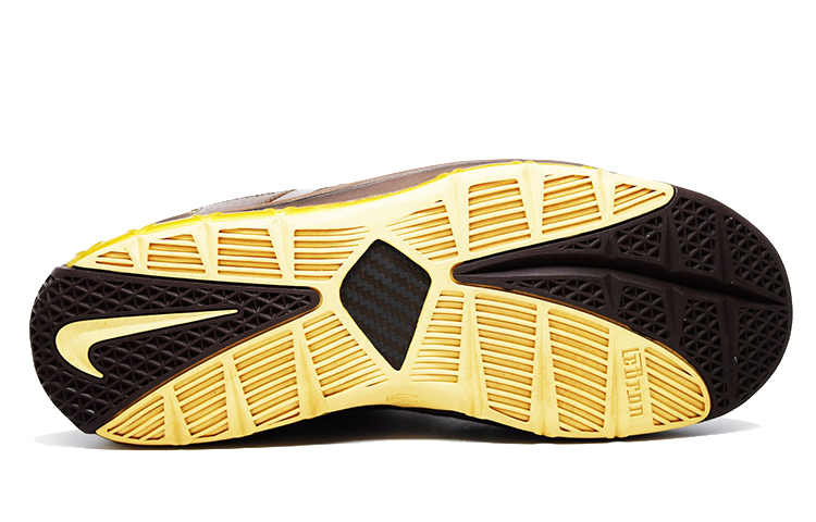 Shop 耐克 Zoom LeBron 3 '生日版' 312147-221